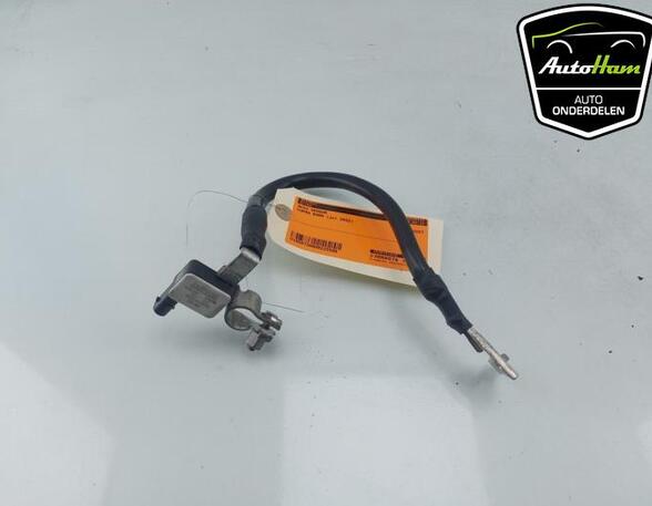 Sensor Cupra Born K11 1EA915181B P18271374