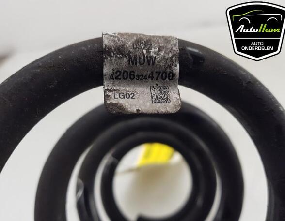 Coil Spring MERCEDES-BENZ C-CLASS (W206)