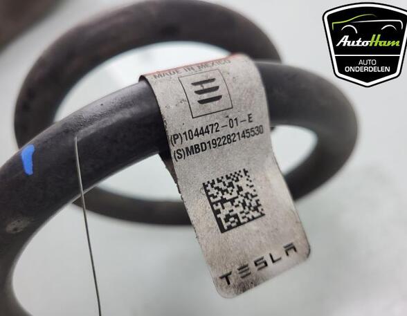 Coil Spring TESLA MODEL 3 (5YJ3)