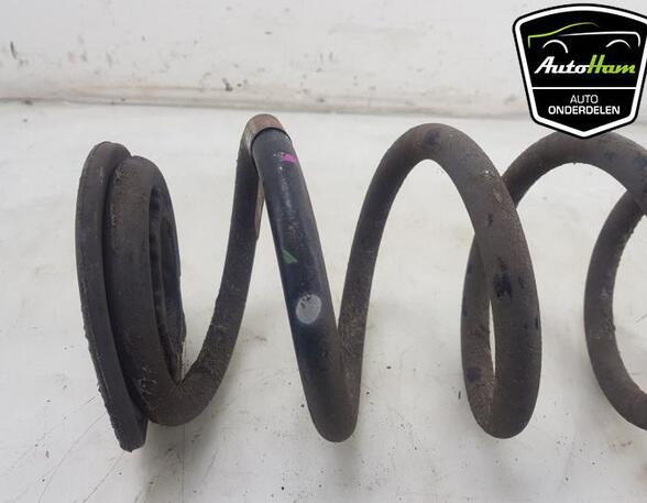 Coil Spring TESLA MODEL 3 (5YJ3)