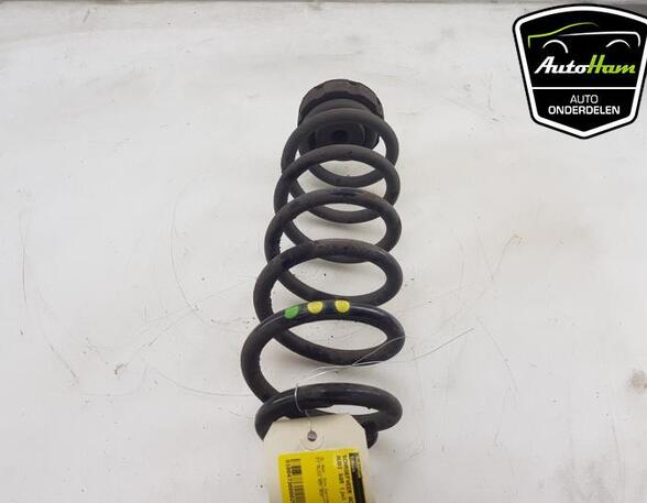 Coil Spring AUDI Q5 (8RB), AUDI Q5 Van (8RB)