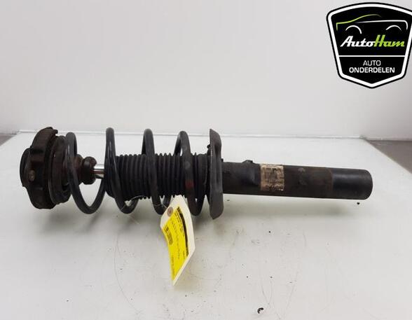 Suspension Strut SEAT ALTEA (5P1), SEAT ALTEA XL (5P5, 5P8), SEAT TOLEDO III (5P2), SEAT LEON (1P1)