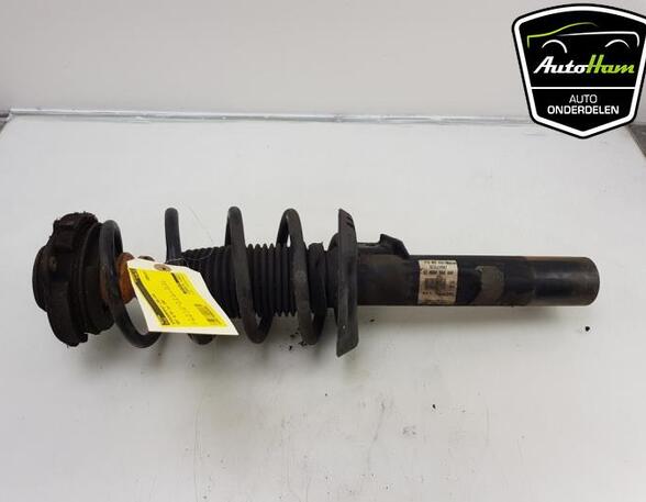 Suspension Strut SEAT ALTEA (5P1), SEAT ALTEA XL (5P5, 5P8), SEAT TOLEDO III (5P2), SEAT LEON (1P1)