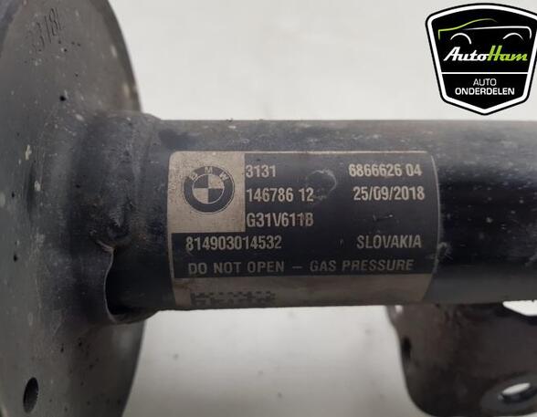 Shock Absorber BMW 5 Touring (G31)