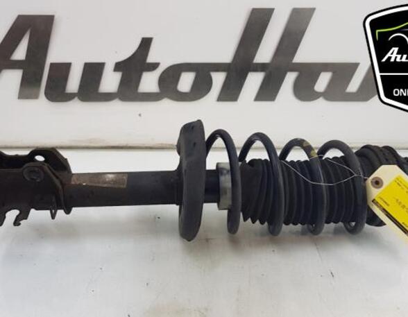 Shock Absorber FIAT GRANDE PUNTO (199_), FIAT PUNTO (199_), FIAT PUNTO EVO (199_)