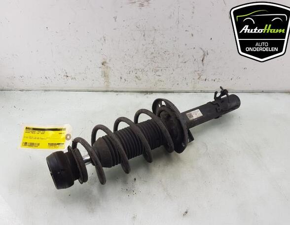 Shock Absorber SKODA FABIA III Estate (NJ5), SKODA RAPID (NH3, NK3, NK6), SKODA RAPID Spaceback (NH1)