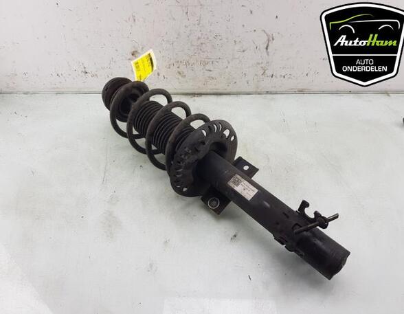 Shock Absorber SKODA FABIA III Estate (NJ5), SKODA RAPID (NH3, NK3, NK6), SKODA RAPID Spaceback (NH1)