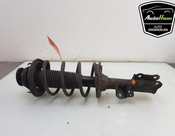 Shock Absorber HYUNDAI i10 (PA)