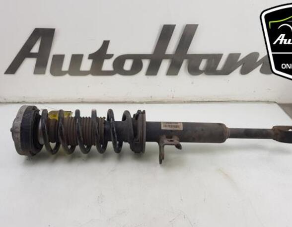 Shock Absorber BMW 5 Touring (F11)