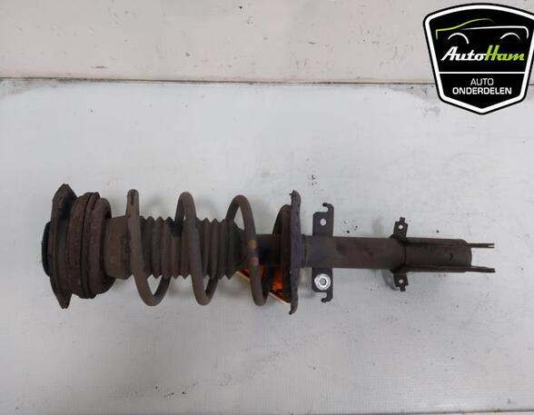 Shock Absorber RENAULT KANGOO Express (FW0/1_)