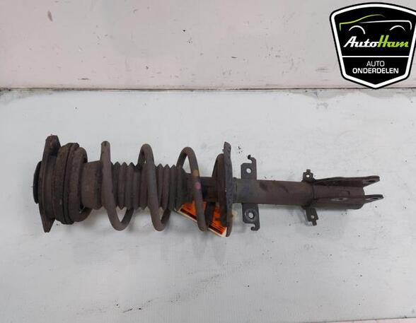 Shock Absorber RENAULT KANGOO Express (FW0/1_)