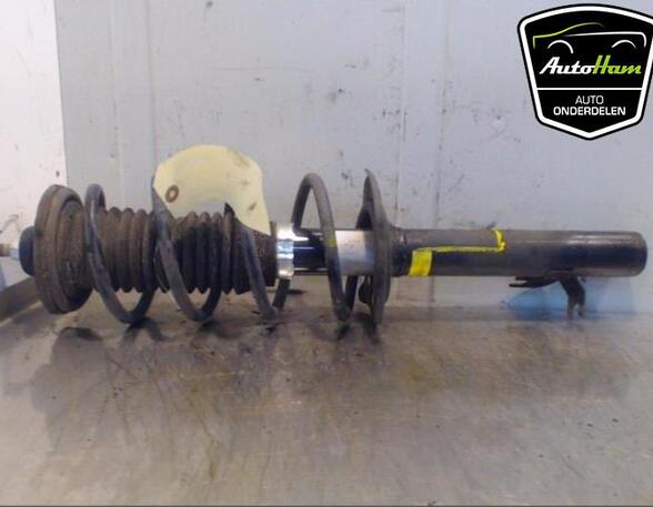 Shock Absorber PEUGEOT 107 (PM_, PN_)