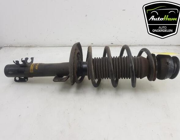 Shock Absorber SEAT IBIZA IV (6J5, 6P1), SEAT IBIZA IV SC (6J1, 6P5)