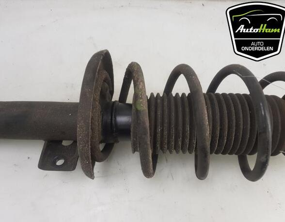 Shock Absorber SEAT IBIZA IV (6J5, 6P1), SEAT IBIZA IV SC (6J1, 6P5)