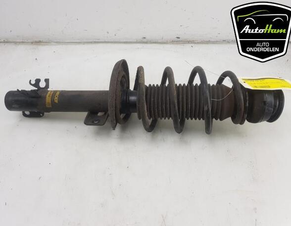 Shock Absorber SEAT IBIZA IV (6J5, 6P1), SEAT IBIZA IV SC (6J1, 6P5)