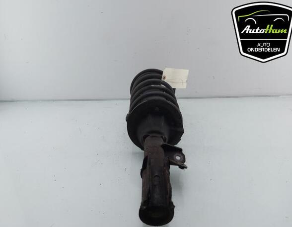 Shock Absorber HYUNDAI i10 (PA)