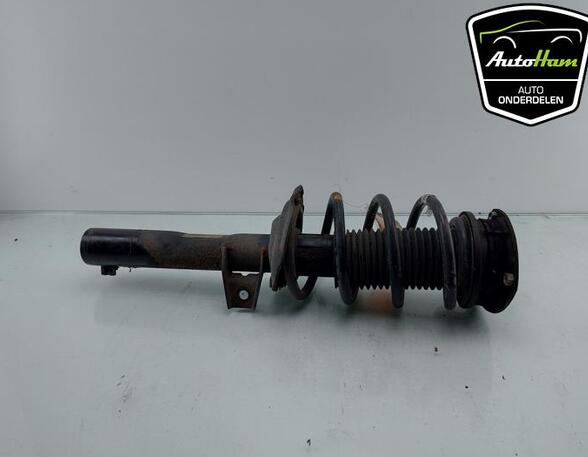 Shock Absorber VW PASSAT B8 Variant (3G5, CB5), VW PASSAT ALLTRACK B8 Variant (3G5, CB5)