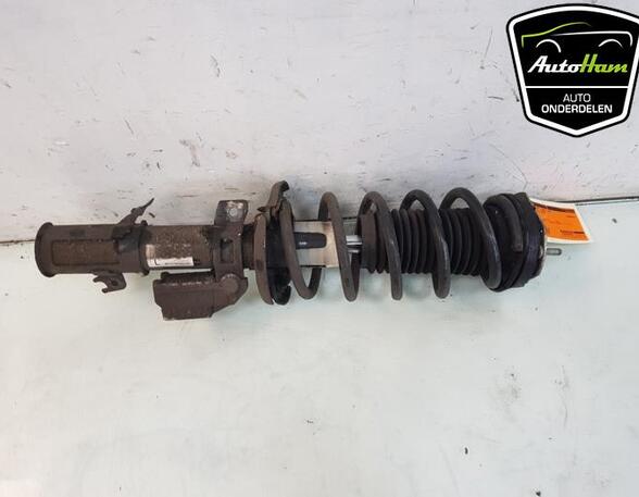 Shock Absorber FORD B-MAX (JK)