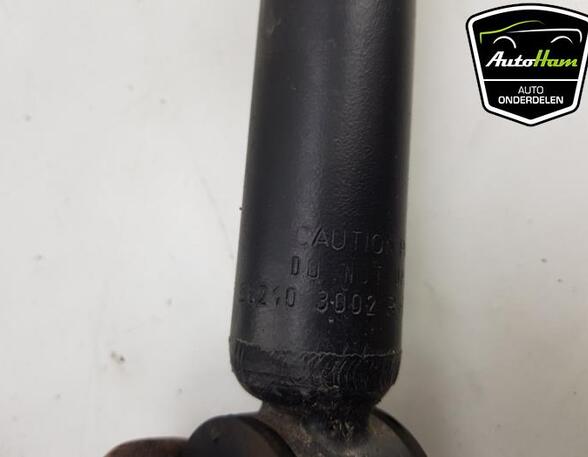 Shock Absorber RENAULT CLIO V (B7_)