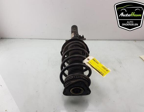 Shock Absorber FORD TRANSIT CONNECT V408 Box Body/MPV, FORD TRANSIT CONNECT MPV