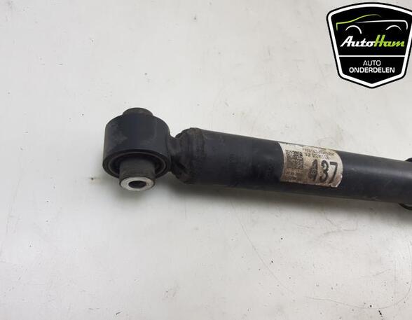 Shock Absorber VW TIGUAN (AD1, AX1), VW TIGUAN ALLSPACE (BW2)