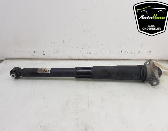 Shock Absorber VW TIGUAN (AD1, AX1), VW TIGUAN ALLSPACE (BW2)