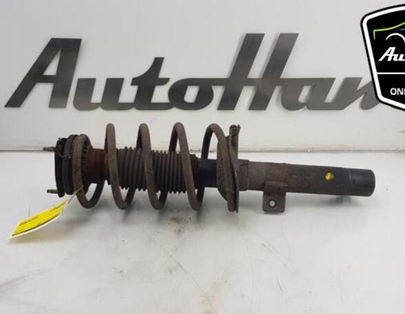 Shock Absorber FORD TRANSIT CONNECT (P65_, P70_, P80_), FORD TRANSIT CUSTOM V362 Van (FY, FZ)