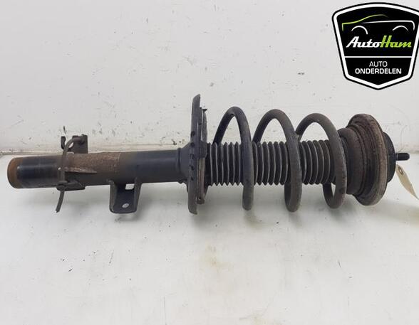 Shock Absorber VW TRANSPORTER VI Van (SGA, SGH, SHA, SHH)