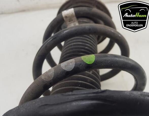 Shock Absorber VW TRANSPORTER VI Van (SGA, SGH, SHA, SHH)