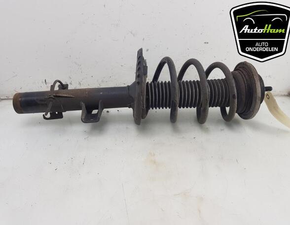 Shock Absorber VW TRANSPORTER VI Van (SGA, SGH, SHA, SHH)