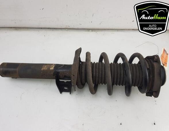 Shock Absorber AUDI A3 (8P1), AUDI A3 Sportback (8PA)