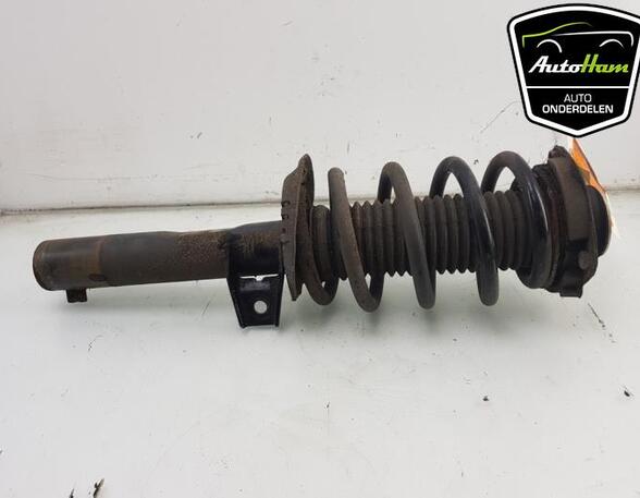 Shock Absorber AUDI A3 (8P1), AUDI A3 Sportback (8PA)