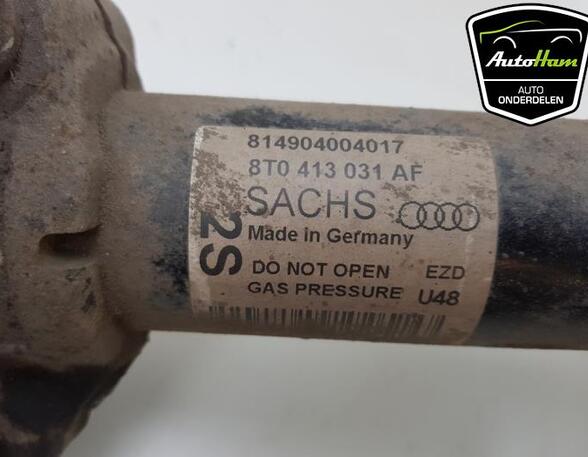 Shock Absorber AUDI A4 (8K2, B8), AUDI A4 (8W2, 8WC, B9)