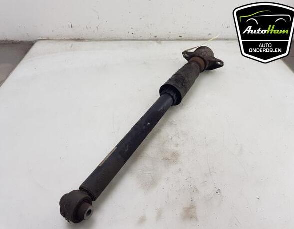 Shock Absorber AUDI A4 Avant (8W5, 8WD, B9), AUDI A5 Sportback (F5A, F5F)