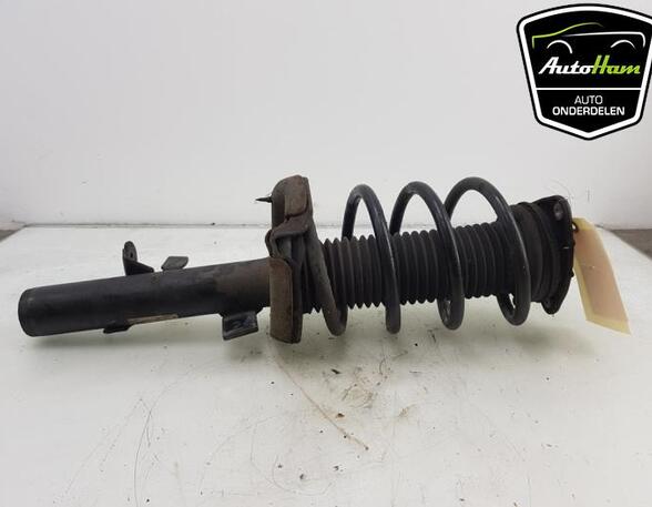 Shock Absorber FORD FOCUS III Turnier, FORD FOCUS III Saloon