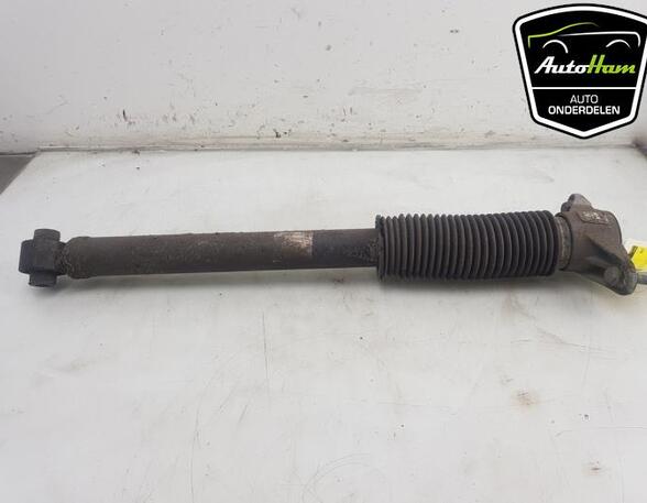 Shock Absorber TESLA MODEL 3 (5YJ3)