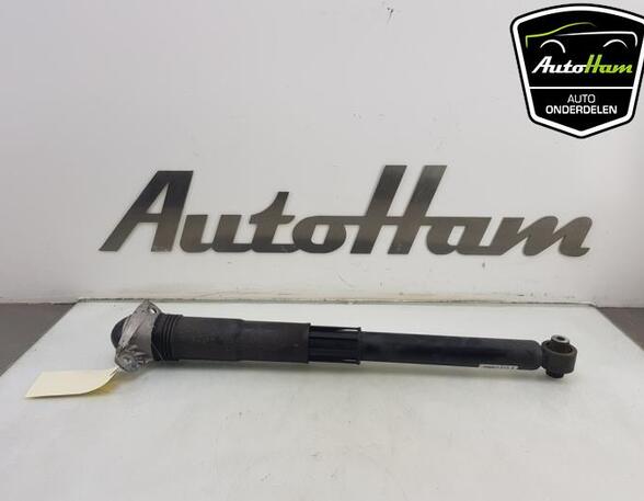 Shock Absorber VW GOLF VIII (CD1)