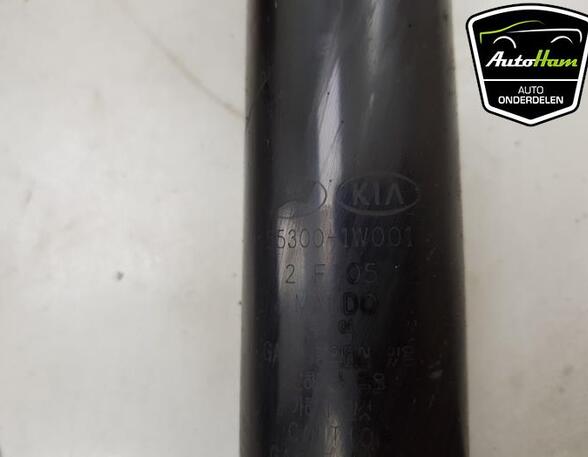 Shock Absorber KIA RIO III (UB)