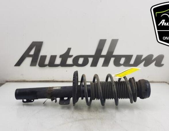 Shock Absorber SKODA FABIA II (542), SKODA FABIA I (6Y2), SKODA FABIA II Combi (545)