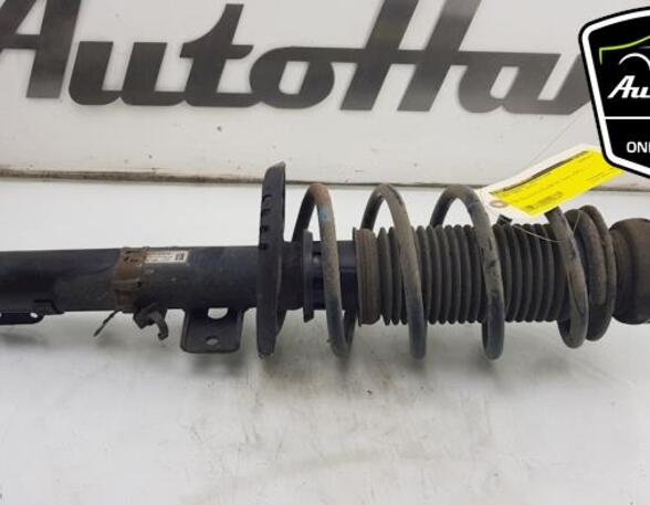 Shock Absorber SKODA FABIA II (542), SKODA FABIA I (6Y2), SKODA FABIA II Combi (545)