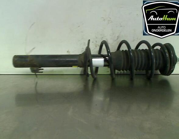 Shock Absorber CITROËN C1 (PM_, PN_)