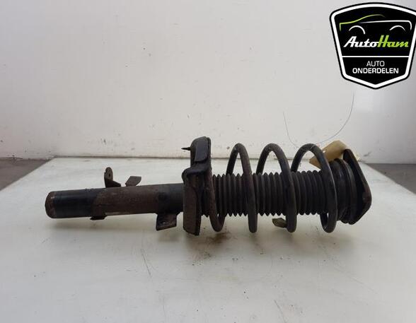 Shock Absorber FORD C-MAX II (DXA/CB7, DXA/CEU), FORD GRAND C-MAX (DXA/CB7, DXA/CEU)