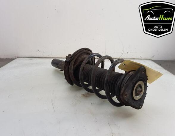 Shock Absorber FORD C-MAX II (DXA/CB7, DXA/CEU), FORD GRAND C-MAX (DXA/CB7, DXA/CEU)