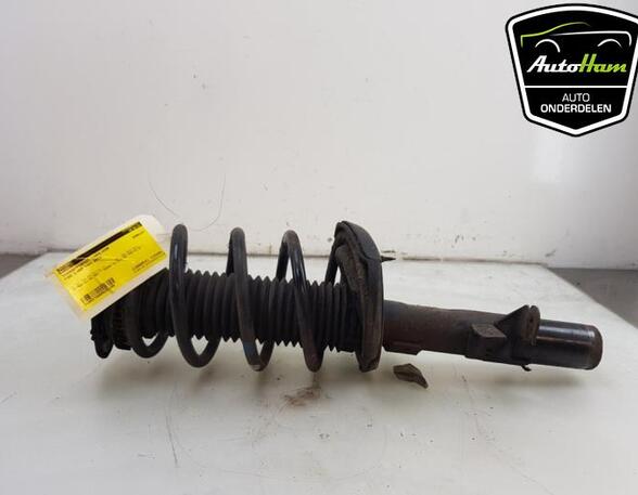 Shock Absorber FORD C-MAX II (DXA/CB7, DXA/CEU), FORD GRAND C-MAX (DXA/CB7, DXA/CEU)