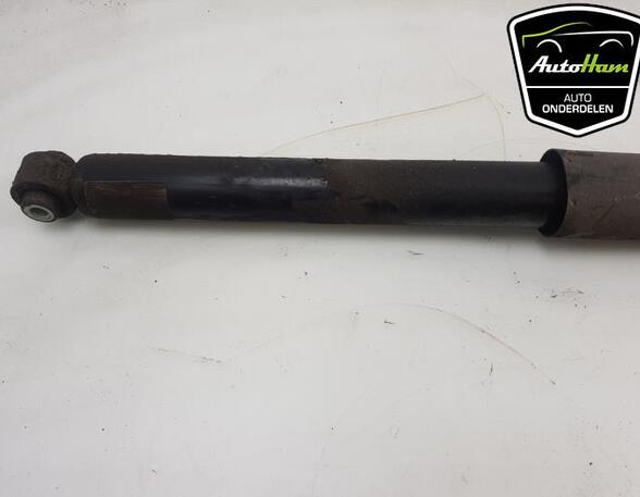 Shock Absorber FORD TRANSIT V363 Van (FCD, FDD), FORD TRANSIT V363 Bus (FAD, FBD)