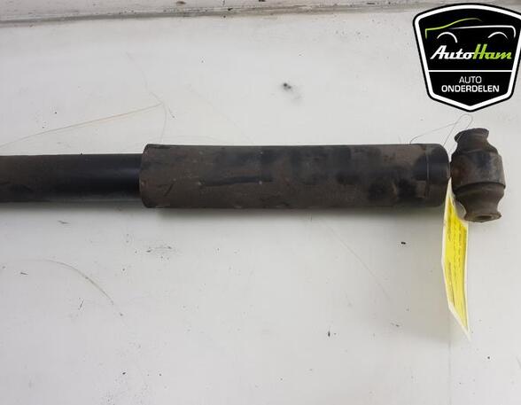 Shock Absorber FORD TRANSIT V363 Van (FCD, FDD), FORD TRANSIT V363 Bus (FAD, FBD)