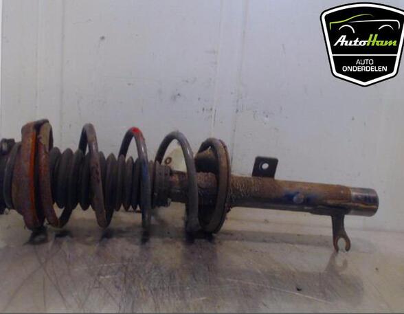 Shock Absorber FORD FOCUS (DAW, DBW)