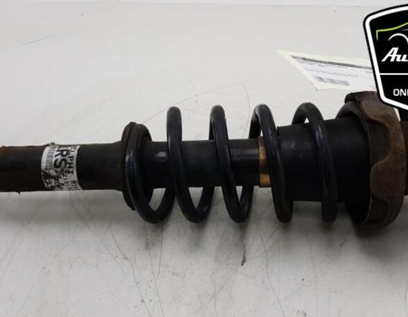 Shock Absorber MINI MINI Convertible (R52)