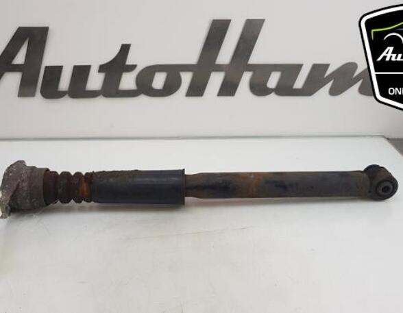 Shock Absorber AUDI A6 Avant (4F5, C6), AUDI A6 Allroad (4FH, C6)