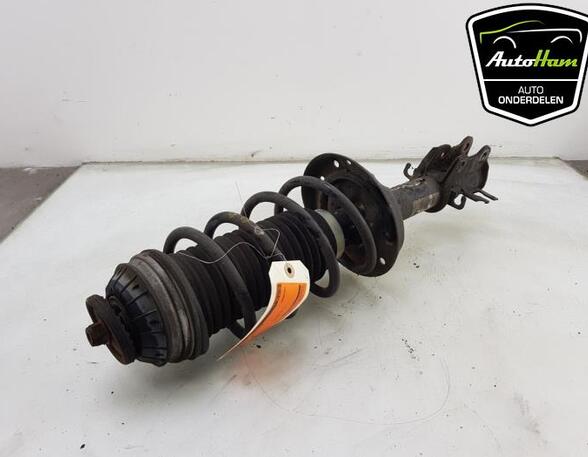 Shock Absorber FIAT GRANDE PUNTO (199_), FIAT PUNTO EVO (199_), FIAT PUNTO (199_)